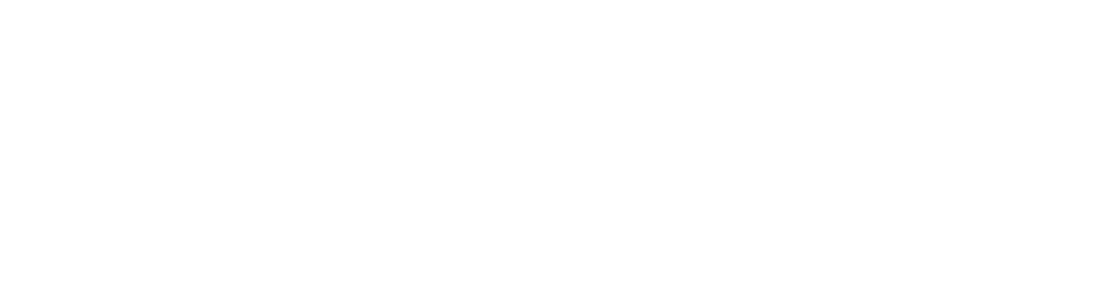 Commonwise logo